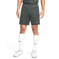 Nike Dri-Fit Academy 21 Shorts grau