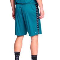 Hummel Authentic PL Shorts grün/schwarz XL