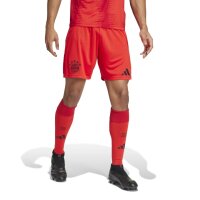 adidas FC Bayern München Heimshorts 2024/25 rot/schwarz S