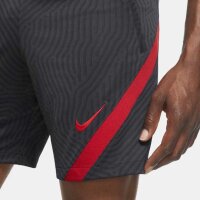 Nike FC Liverpool Strike Shorts grau/rot