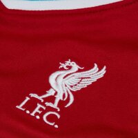 Nike FC Liverpool Trikot-Set 2020/2021 Minikids rot