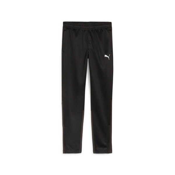 Puma teamGOAL SCL Trainingshose lang Kids