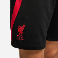 Nike FC Liverpool Strike Shorts schwarz/rot
