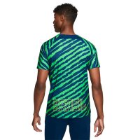 Nike Brasilien Dri-FIT Pre-Match Fussballoberteil blau/grün
