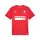 Puma teamGOAL ASV Trikot rot
