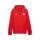 Puma teamGOAL ASV Hoody rot