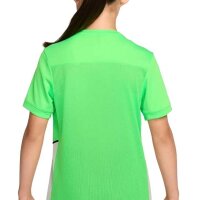 Nike Dri-FIT Academy 25 Erling Haaland...
