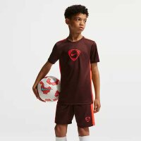 Nike Dri-Fit Academy+ Shorts Kinder braun/rot