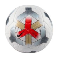 Nike Academy Plus Fußball weiß/gold
