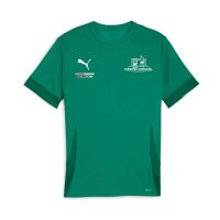 Puma teamGOAL Keeperschool Shirt grün