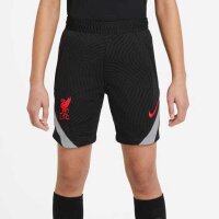 Nike FC Liverpool Strike Shorts Kinder schwarz/grau 137-147
